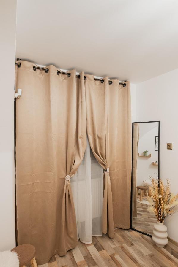 Cozee Studio - In Inima Brasovului Dış mekan fotoğraf