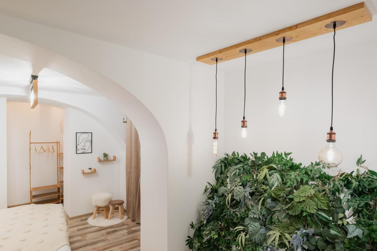 Cozee Studio - In Inima Brasovului Dış mekan fotoğraf